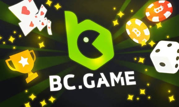 Common Issues and Solutions for BC.Game Login Problems