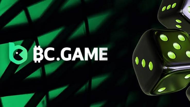 Unlocking the Excitement A Comprehensive Guide to BC Game Bonuses and Promotions
